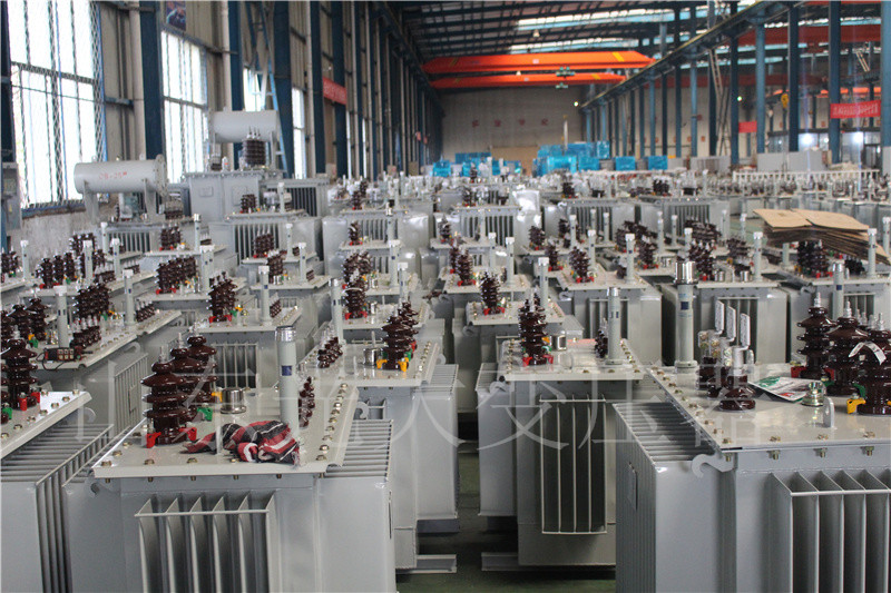 盐池S22-800KVA/10KV