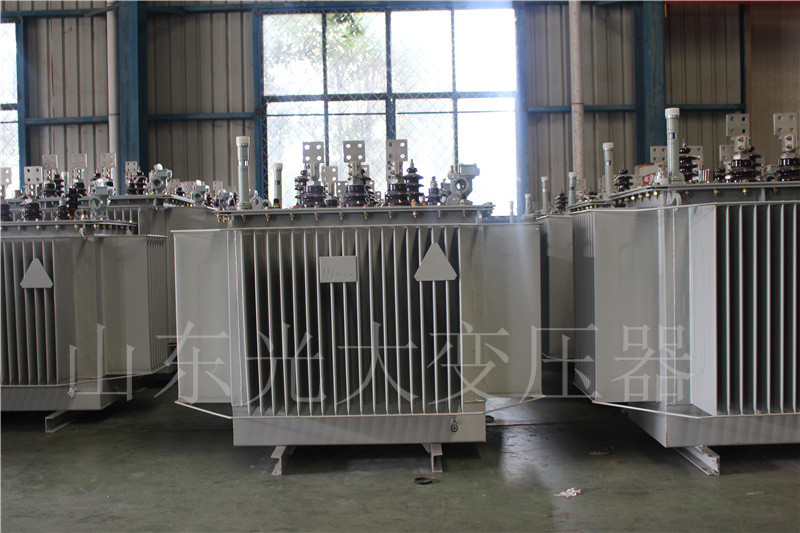 盐池S20-500KVA/10KV
